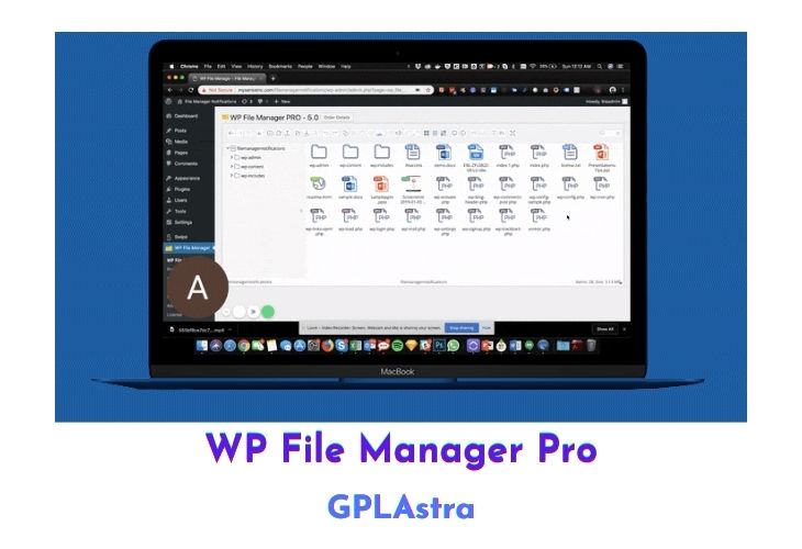 WP File Manager Pro Free Download