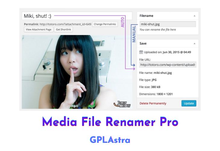 Media File Renamer Pro Free Download